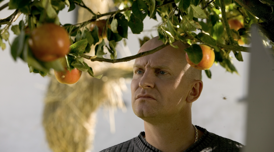 Ádám almái borítókép